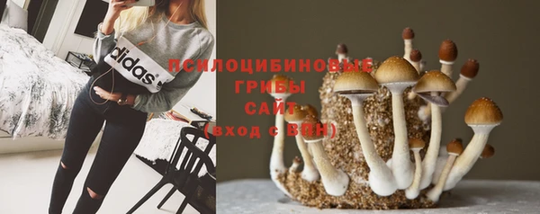 соль ск Алексеевка