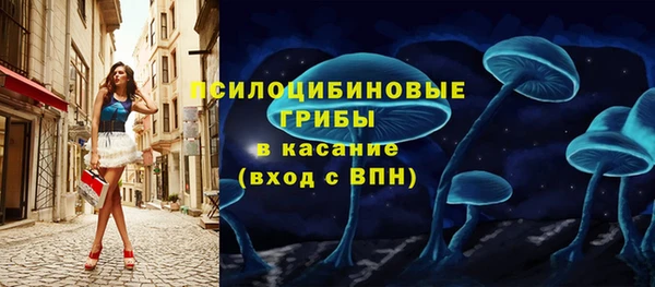 прущий лед Алзамай